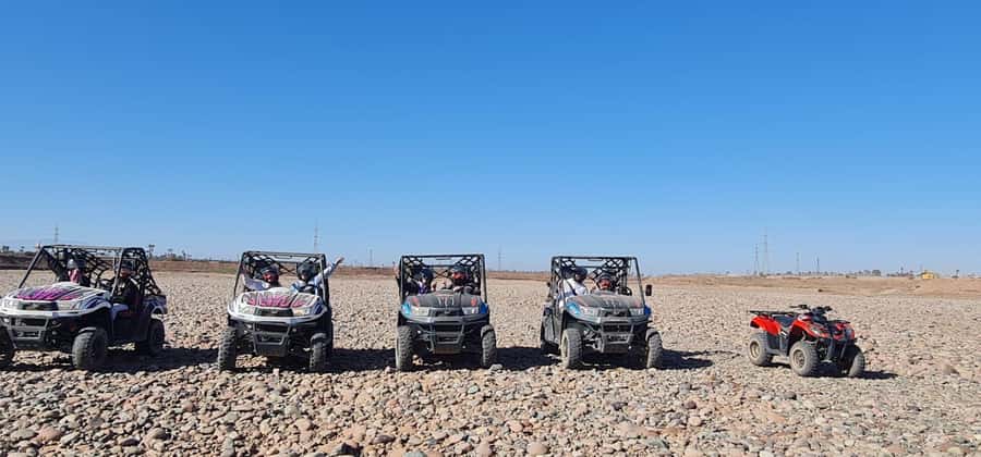 Buggy ride at the Palm Grove and Desert with swimming pool - The Palm Grove stop adds a different side of Marrakech
