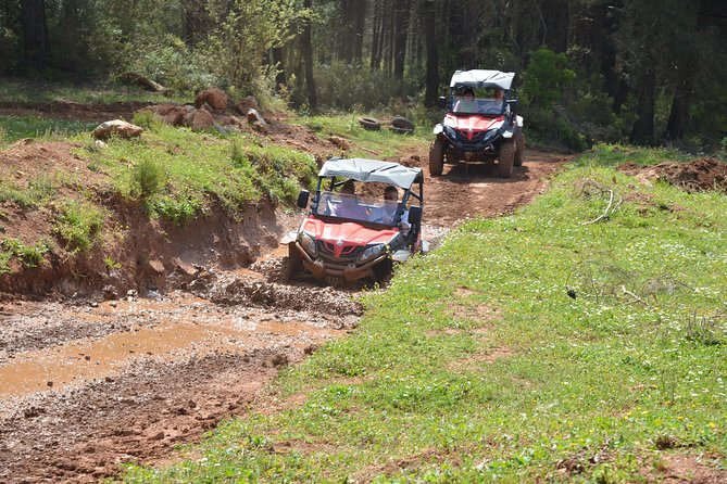 Buggy Safari for 2 people - Who will enjoy this most, and who should skip it?