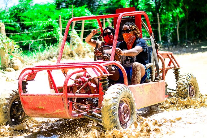 Buggy Tour to Macao Beach and Water Cave with Organic Farm - The organic farm: coffee, cacao, tobacco, and fruit