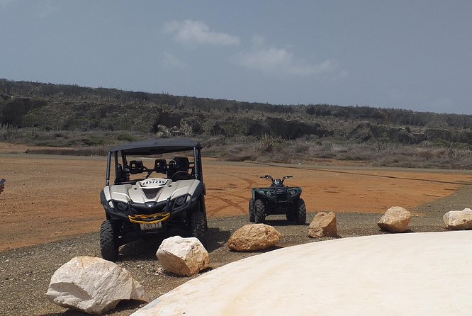Buggy Tours in Curacao - Key points to know before you book