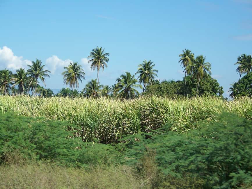 Cabarete: 2-Person Dominican Countryside Buggy Tour - From Puerto Plata Hotels to the Buggy Base