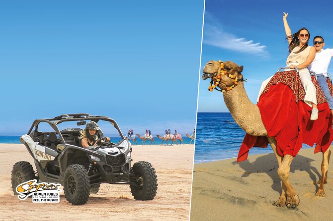 Cabo Adventure: Can-Am X3 Ride & Camel Beach Tour - Two Baja rides in one short outing