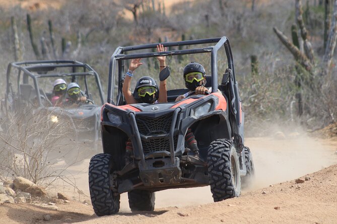 Cabo Adventure: Can-Am X3 Ride & Camel Beach Tour - What the guides add to the day