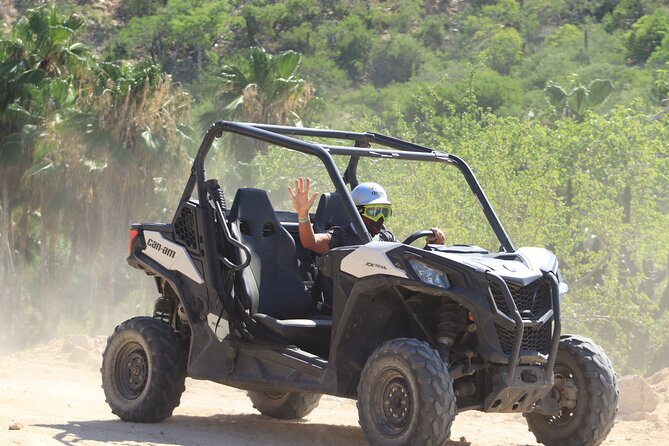 Cabo Adventure: Can-Am X3 Ride & Camel Beach Tour - Who will enjoy this most
