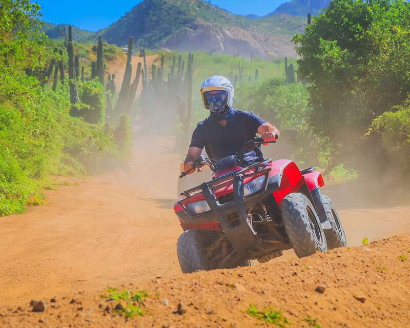 Cabo: Beach & Desert Single ATV Tour with Tequila Tasting - Quick take: what matters most