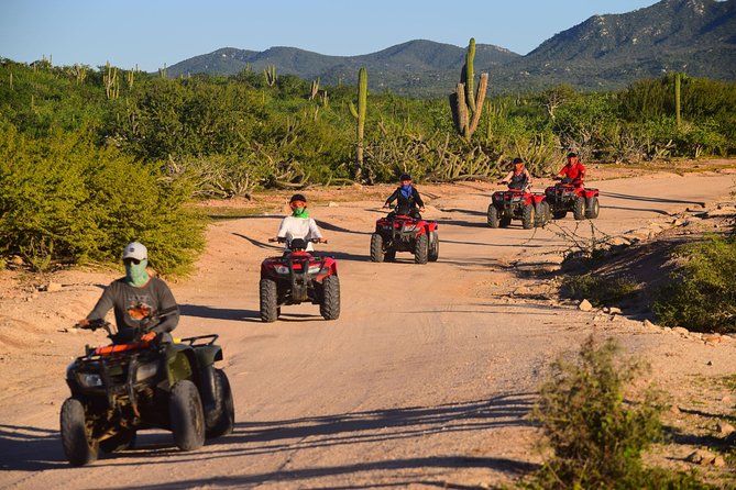 Cabo Migrino Beach and Desert ATV Tour plus Tequila Tasting - Choosing between a shared and private ride