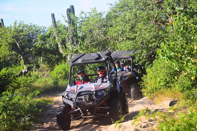 Cabo Migrino Beach & Desert Tour (Triple UTV) - Price, fees, and what you really pay