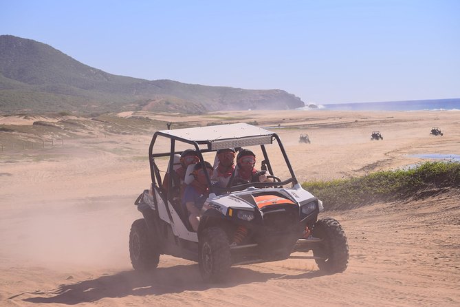 Cabo Migrino Beach & Desert Tour (Triple UTV) - Safety, skill level, and comfort