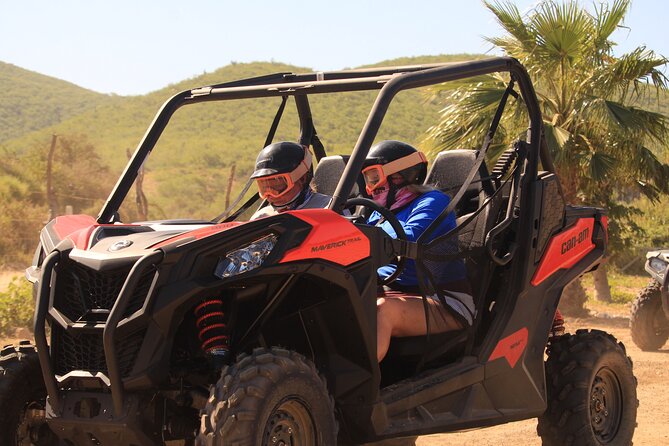 Cabo Migrino Beach & Desert UTV Tour and Tequila Tasting - What the $100 Cabo UTV tour actually delivers
