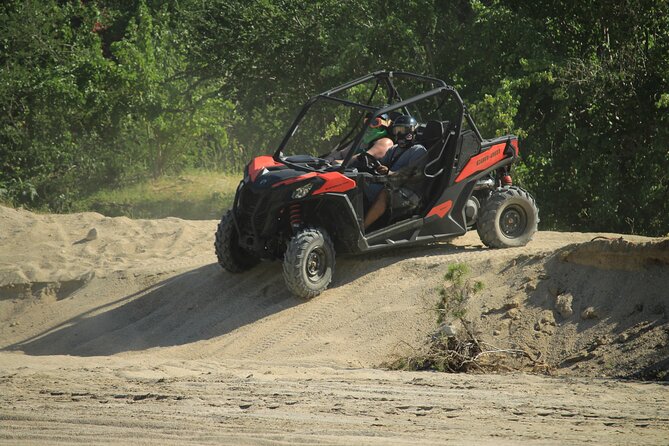 Cabo Migrino Beach & Desert UTV Tour and Tequila Tasting - Riding through cactus country and Baja desert