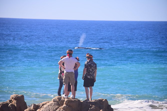 Cabo Original Real Baja 1000 Tour (Single ATV) - Who should book this ride