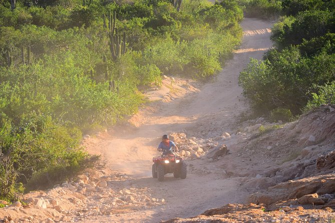 Cabo Original Real Baja 1000 Tour (Single ATV) - Booking, cancellation, and a practical final call