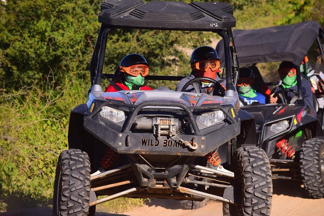 Cabo Original Real Baja 1000 Tour (UTV) - Is $350 per person a good value?