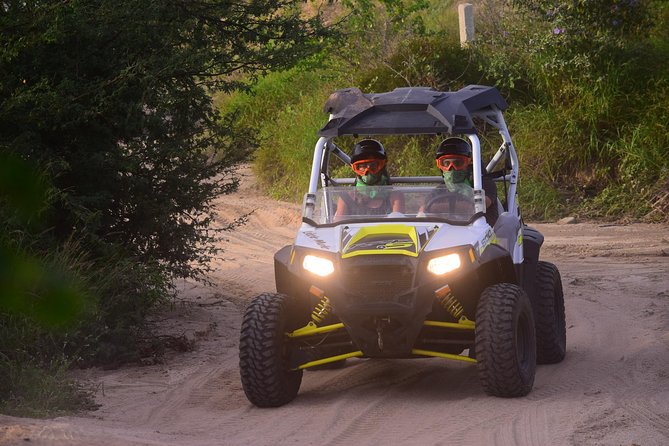 Cabo Original Real Baja 1000 Tour (UTV) - Timing, cancellation, and practical planning