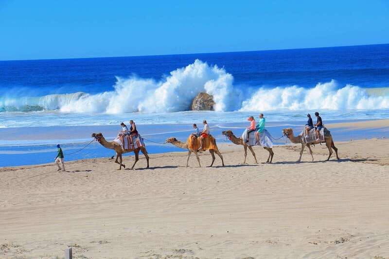 Cabo San Lucas: Camel Ride & Off-Road UTV Combo Adventure - Key points to know before booking