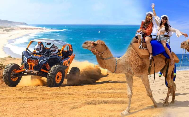 Cabo San Lucas: Camel Ride & Off-Road UTV Combo Adventure - Taking the wheel on mountain trails