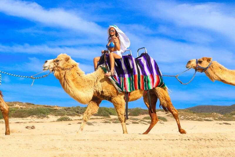 Cabo San Lucas: Camel Ride & Off-Road UTV Combo Adventure - The hidden cost of the advertised price