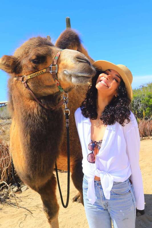 Cabo San Lucas: Camel Ride & Off-Road UTV Combo Adventure - Transportation, timing, and the return trip