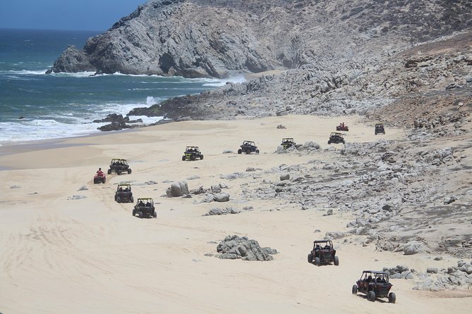 Cabo Wild Desert Tour, Polaris ATV or Razor Single, Double, Triple or Quad! - Practical booking advice for a smoother day