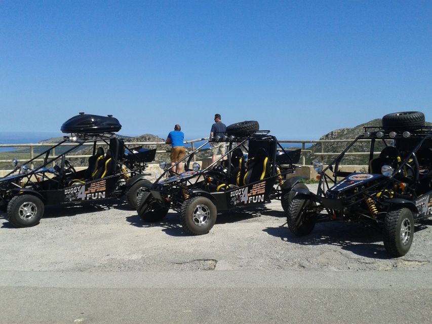 Cala Millor/Sa Coma: Guided Buggy Tour - Who should book this Mallorca experience?