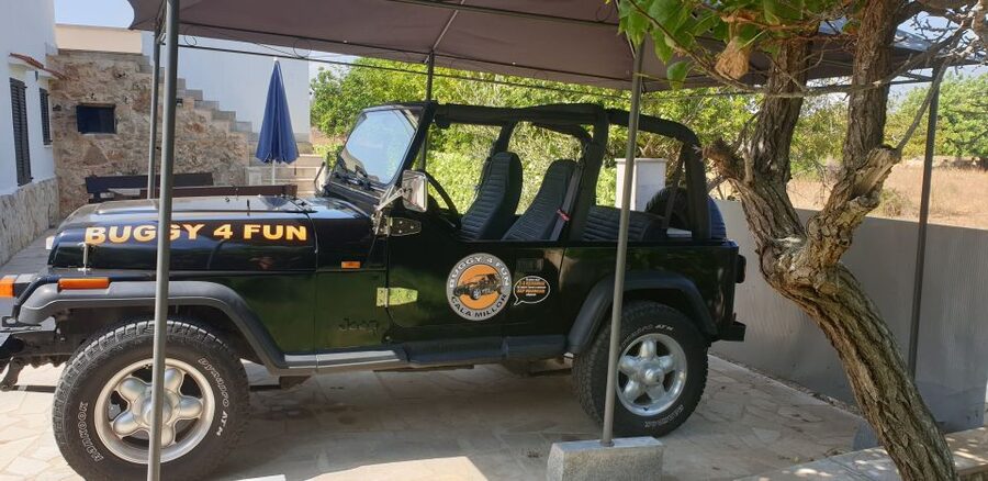 Cala Millor/Sa Coma: Guided Buggy Tour - Guides, group size, and the pace of the day