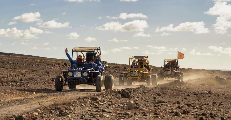Caleta De Fuste: Guided Buggy Explorer Tour - The goat farm and Majorero cheese stop