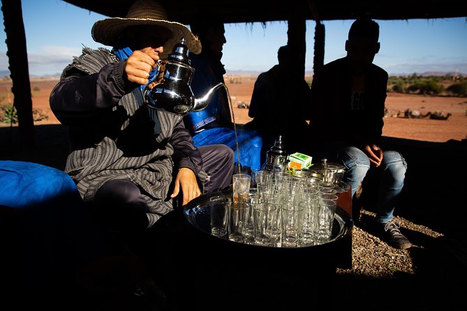 Camel and Quad Biking Tour from Marrakech - Is the $98.48 price good value?