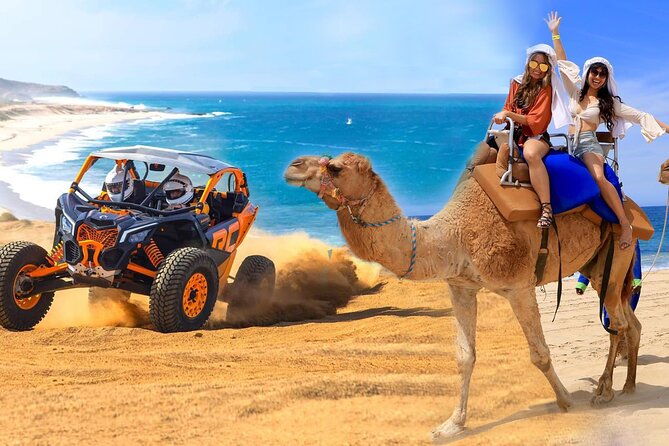 Camel Ride and UTV Combo Adventure, with Tequila Tasting - What matters before you book