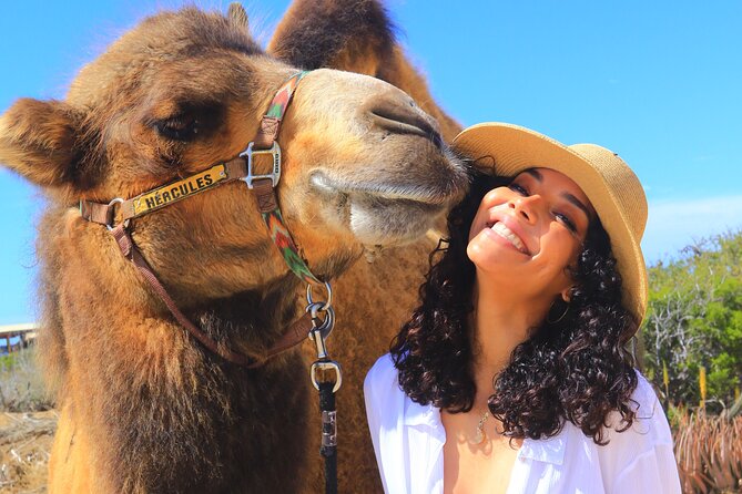 Camel Ride and UTV Combo Adventure, with Tequila Tasting - Desert tracks, sand dunes, and ocean cliffs by UTV