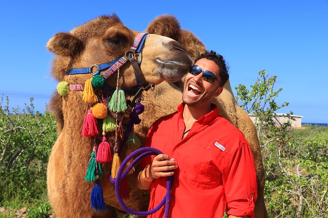 Camel Ride and UTV Combo Adventure, with Tequila Tasting - Transport, timing, and the cruise-port warning