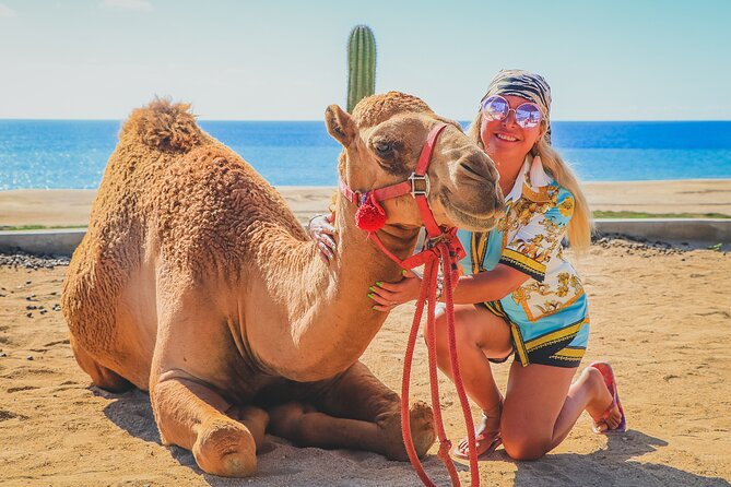 Camel Ride and UTV Combo Adventure, with Tequila Tasting - Should you book the camel and UTV combo?