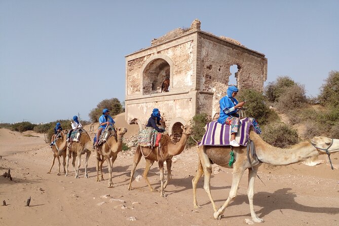 Camel ride or quad bike ride.. pick up, drop off. including - The Portuguese Fort Adds More Than a Photo Stop