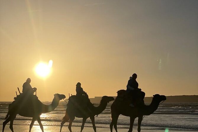 Camel ride or quad bike ride.. pick up, drop off. including - What Pickup and Group Size Mean in Practice