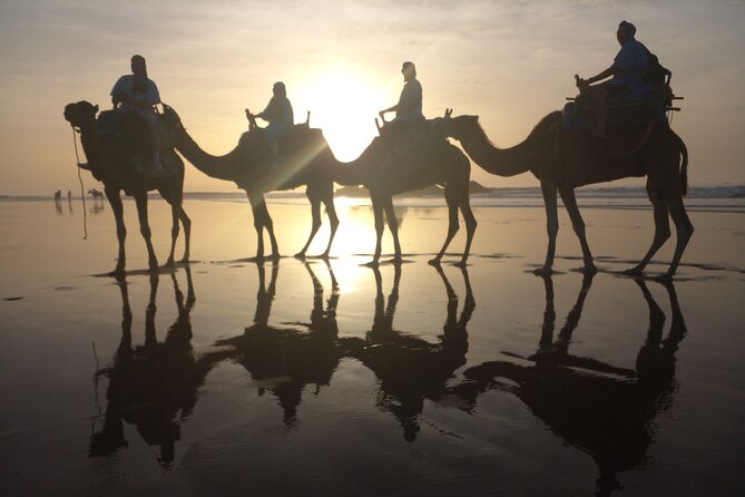 Camel ride or quad bike ride.. pick up, drop off. including - Is $22.10 Good Value?