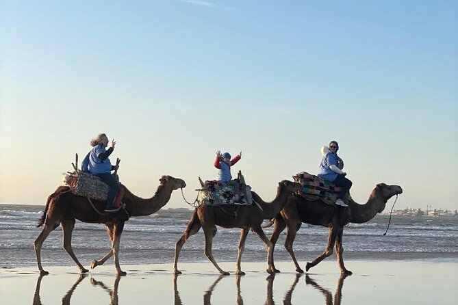 Camel ride or quad bike ride.. pick up, drop off. including - Camel Ride or Quad Bike?