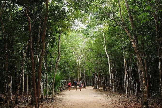 Cancun ATV Adventure, Horseback Riding, Zip Lines, and Cenote - The cenote is the payoff