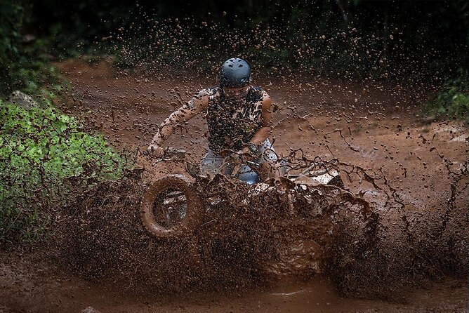 Cancun Combo Tour: ATV and Zip- lines with Cenote Swim - How the $89 price measures up