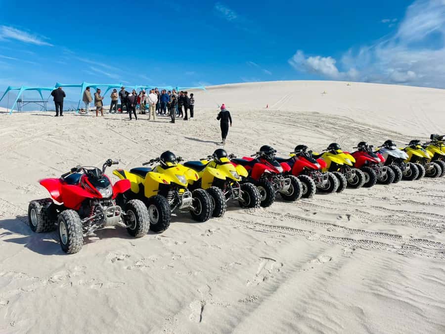 Cape Town: Atlantis Dunes Quad Bike & Free Sandboarding Tour - Why the small group matters