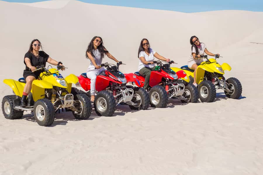 Cape Town: Atlantis Dunes Quad Bike & Free Sandboarding Tour - Who should book this dune adventure?