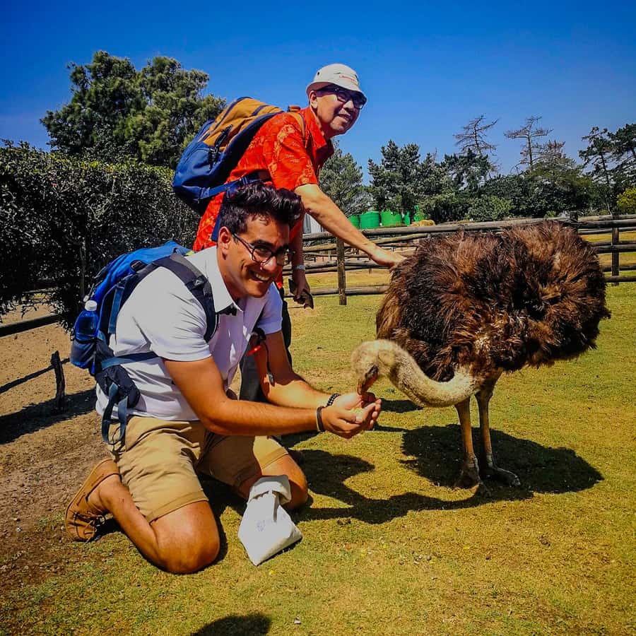 CAPE TOWN: OSTRICH RANCH QUAD BIKE RIDE & OSTRICH TOUR - Starting with safety gear and a quad-bike briefing