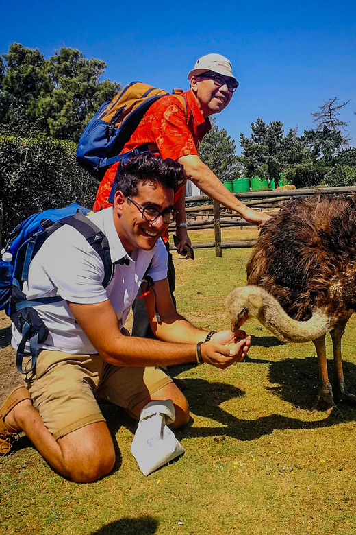 CAPE TOWN: OSTRICH RANCH QUAD BIKE RIDE & OSTRICH TOUR - The biggest practical risk: a short or missed second half
