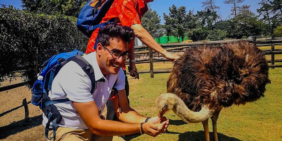 CAPE TOWN: OSTRICH RANCH QUAD BIKE RIDE & OSTRICH TOUR - Who will enjoy this, and who should skip it