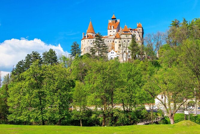 Carpathian mountains Snowmobile, ATV or Buggy tour in one day - Key things to know before you book