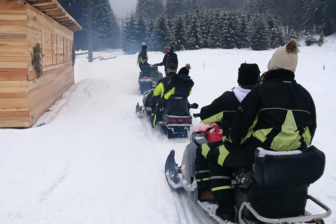 Carpathian mountains Snowmobile, ATV or Buggy tour in one day - From Bucharest to Peles Castle by 7 a.m.