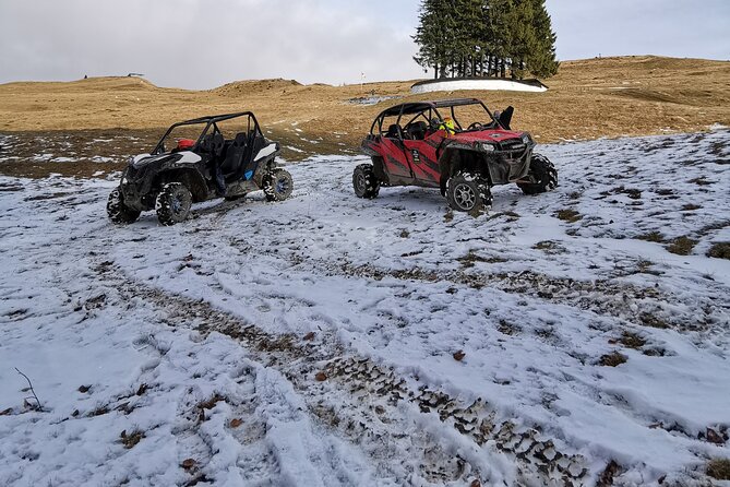 Carpathian mountains Snowmobile, ATV or Buggy tour in one day - Who will enjoy this day most