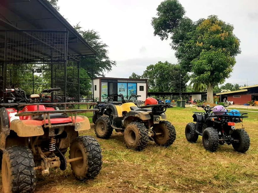 Cebu: Moalboal Snorkeling, Mantayupan Falls & ATV Adventure - Moalboal’s sardines and turtles at Panagsama Beach