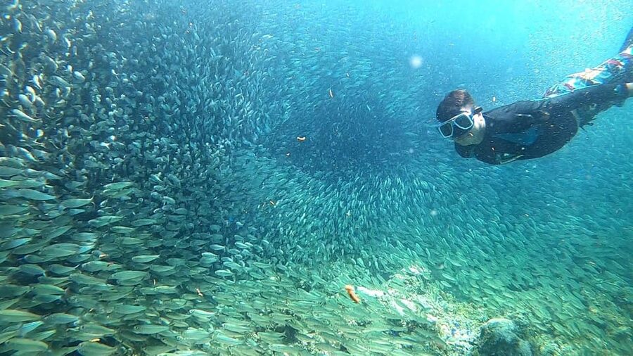 Cebu: Moalboal Snorkeling, Mantayupan Falls & ATV Adventure - Mantayupan Falls and the swimming question