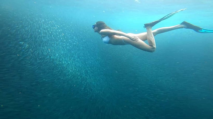Cebu: Moalboal Snorkeling, Mantayupan Falls & ATV Adventure - Who should book this Cebu adventure?