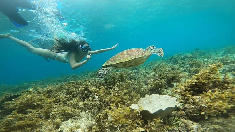 Cebu: Sardine Run Snorkeling, Mantayupan Falls & ATV Thrills - What the Barili ATV ride is really like