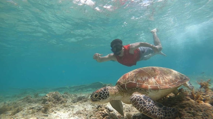 Cebu: Sardine Run Snorkeling, Mantayupan Falls & ATV Thrills - Is $103 a fair price?
